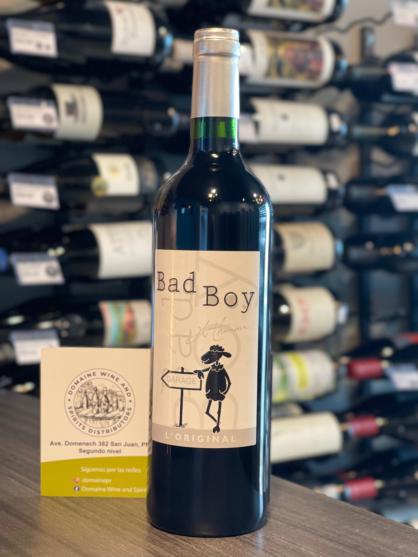 Bad Boy (Mauvais Garçon)